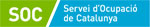 soc-servicio-domestico